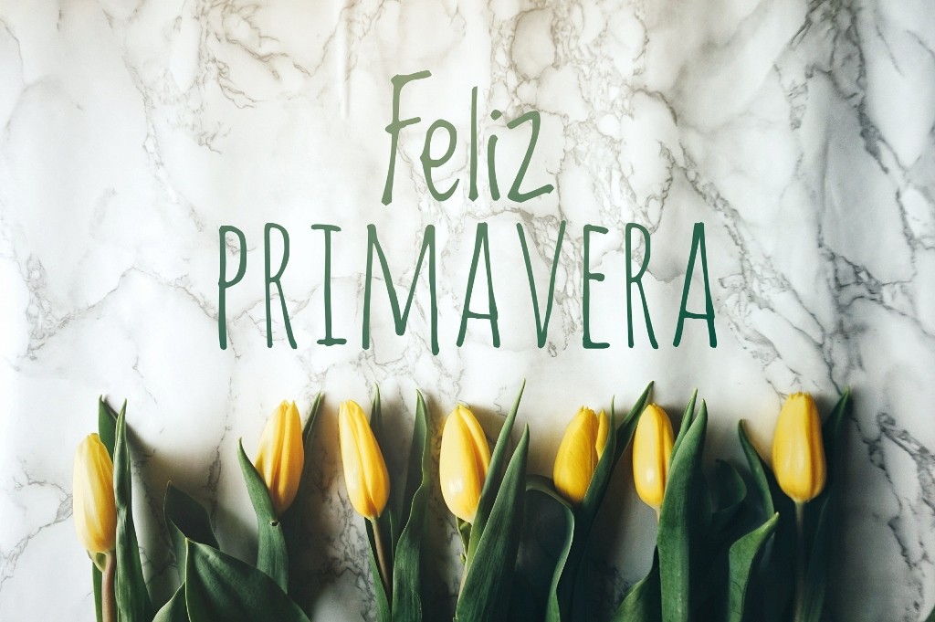 1520065756283 1024x681